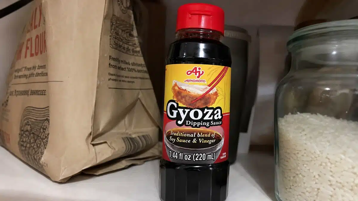 AI product-style photo of Ajinomoto Gyoza Dipping Sauce for best dumpling sauce